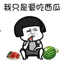 吃瓜娱乐圈动画